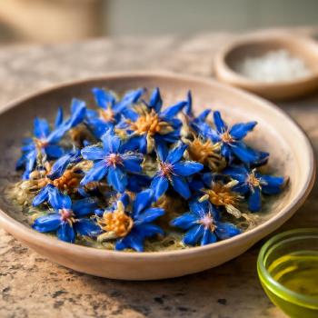 Garniture de Fleurs de Bourrache Croquantes